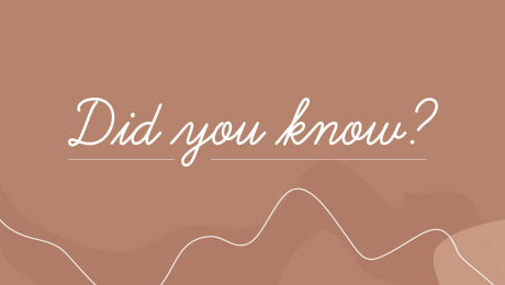 Pointe Shoe Did You Know?