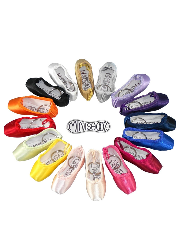 Minishooz® Pointe Keychain