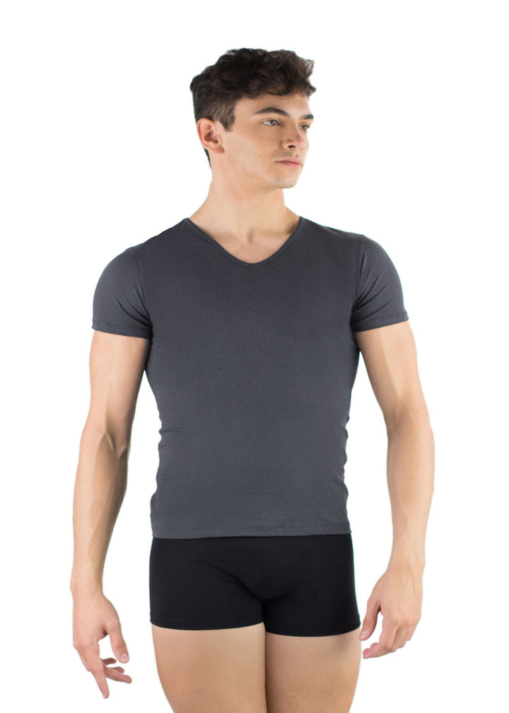 Ballet Rosa gray v neck shirt
