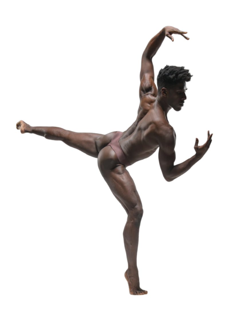Ballet Rosa mens brown thong dance belt