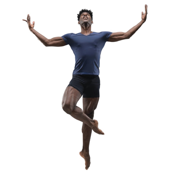 Ballet Rosa gray v neck shirt
