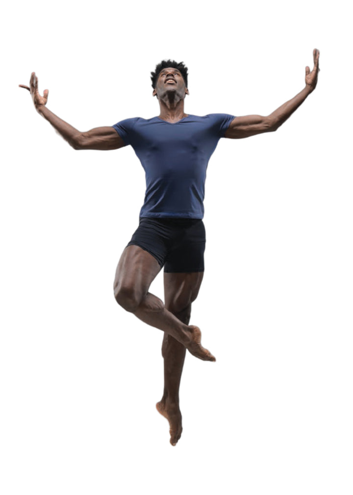 Ballet Rosa gray v neck shirt