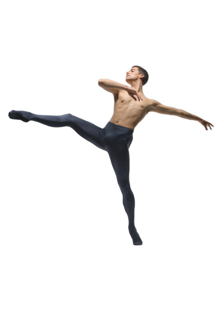 Ballet Rosa footed mens tights in gray