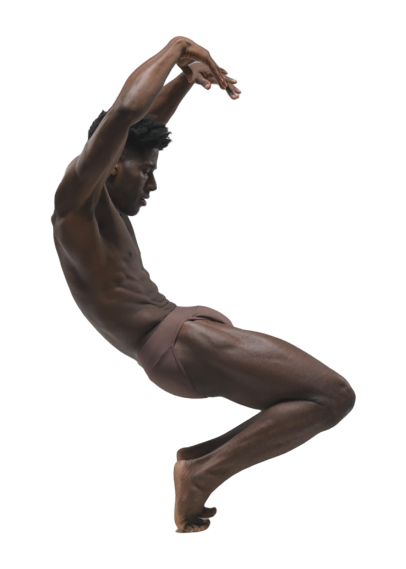 Ballet Rosa full seat dance belt in brown