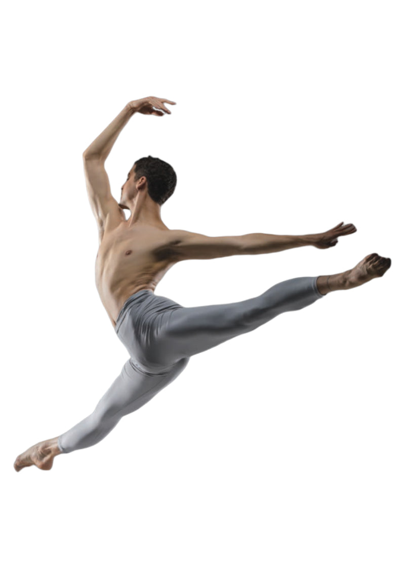 Ballet Rosa mens footless tights in gray