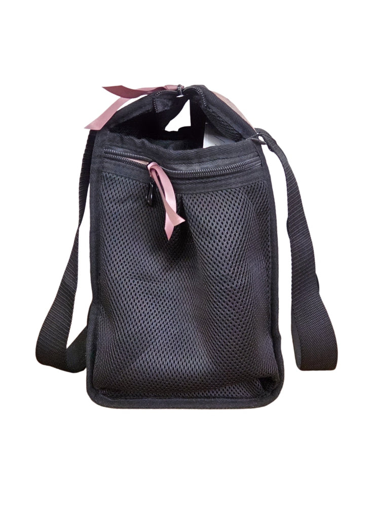Nikolay BC13BAN 4-slot pointe shoe bag with handles and zipper closure in Coffee