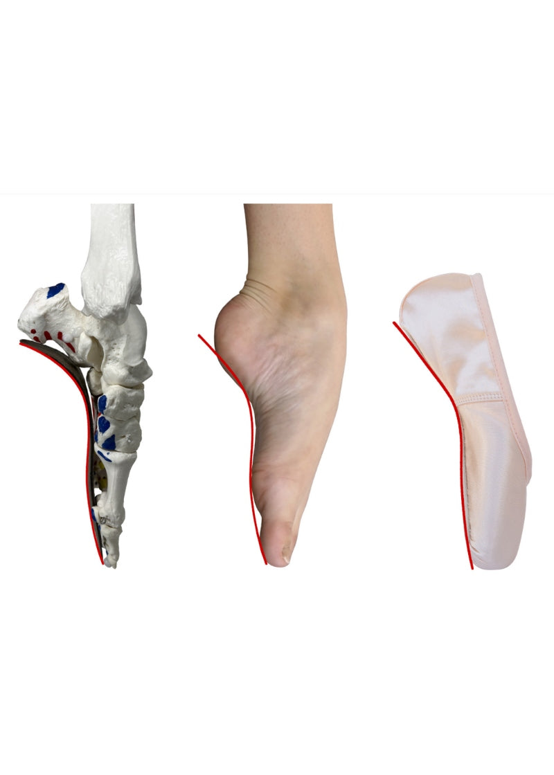 Sheffield Pointe Shoe - Pink (Standard)