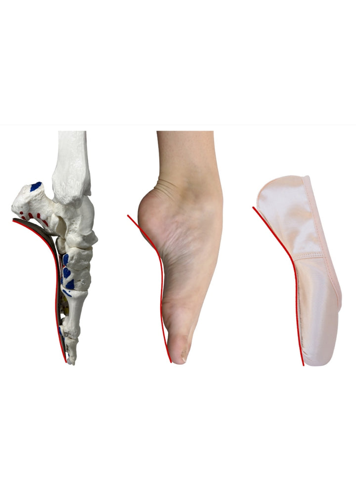Sheffield Pointe Shoe - Pink (Standard)