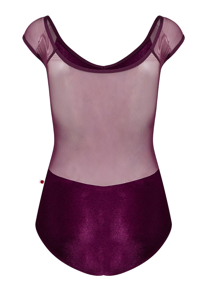 Nina Mesh Cap Sleeve Leotard (Roxy/Opera)