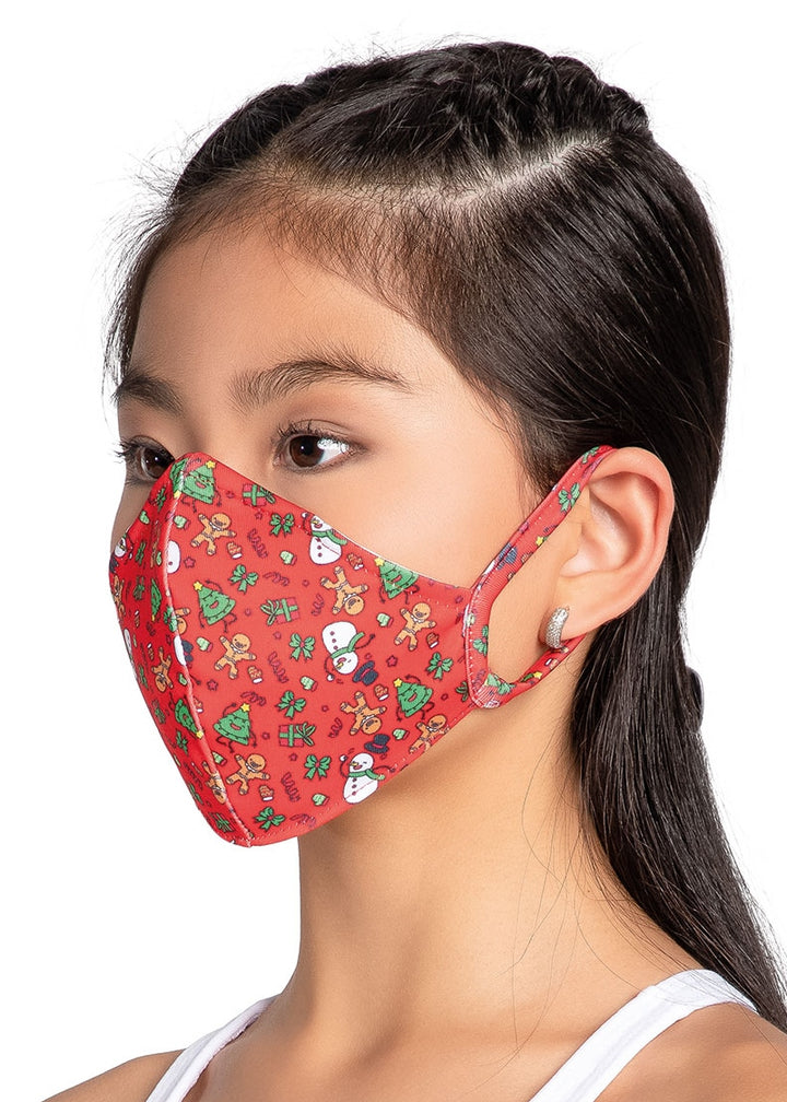 ON SALE Holiday Fitted Face Mask w/ Ear Loops